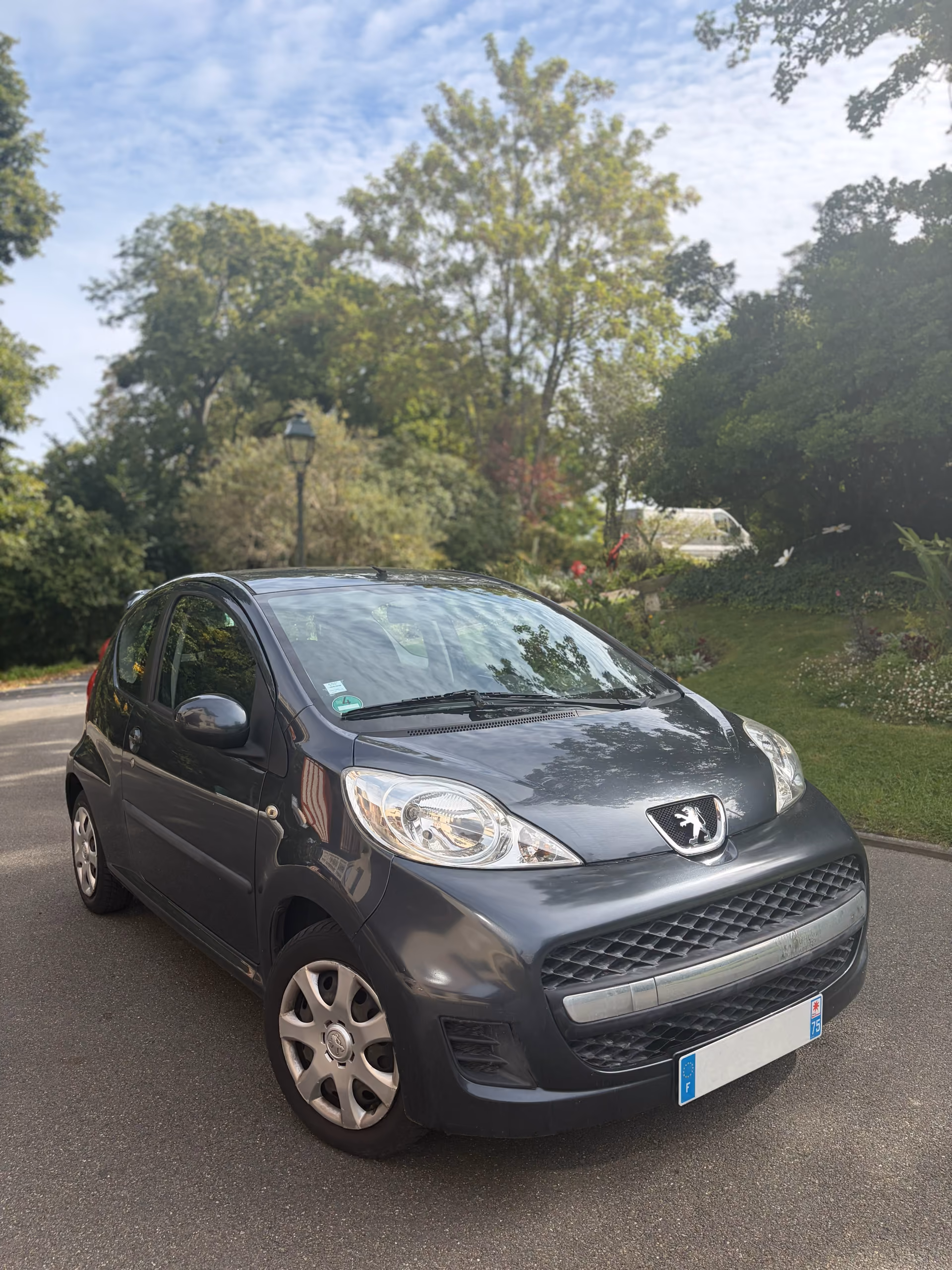 Peugeot Filou 1.0i 2009 gris - 1/10