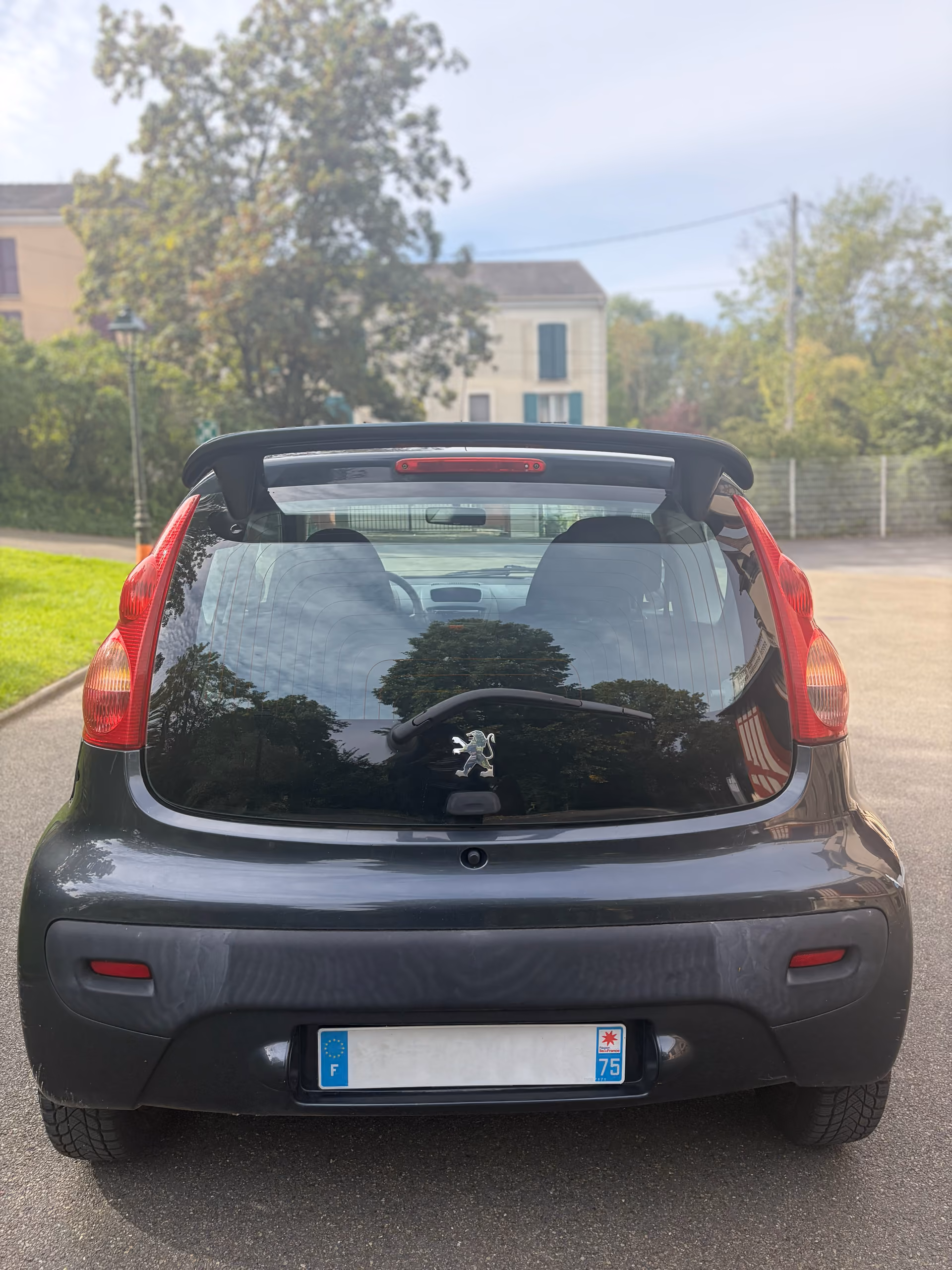 Peugeot Filou 1.0i 2009 gris - 4/10
