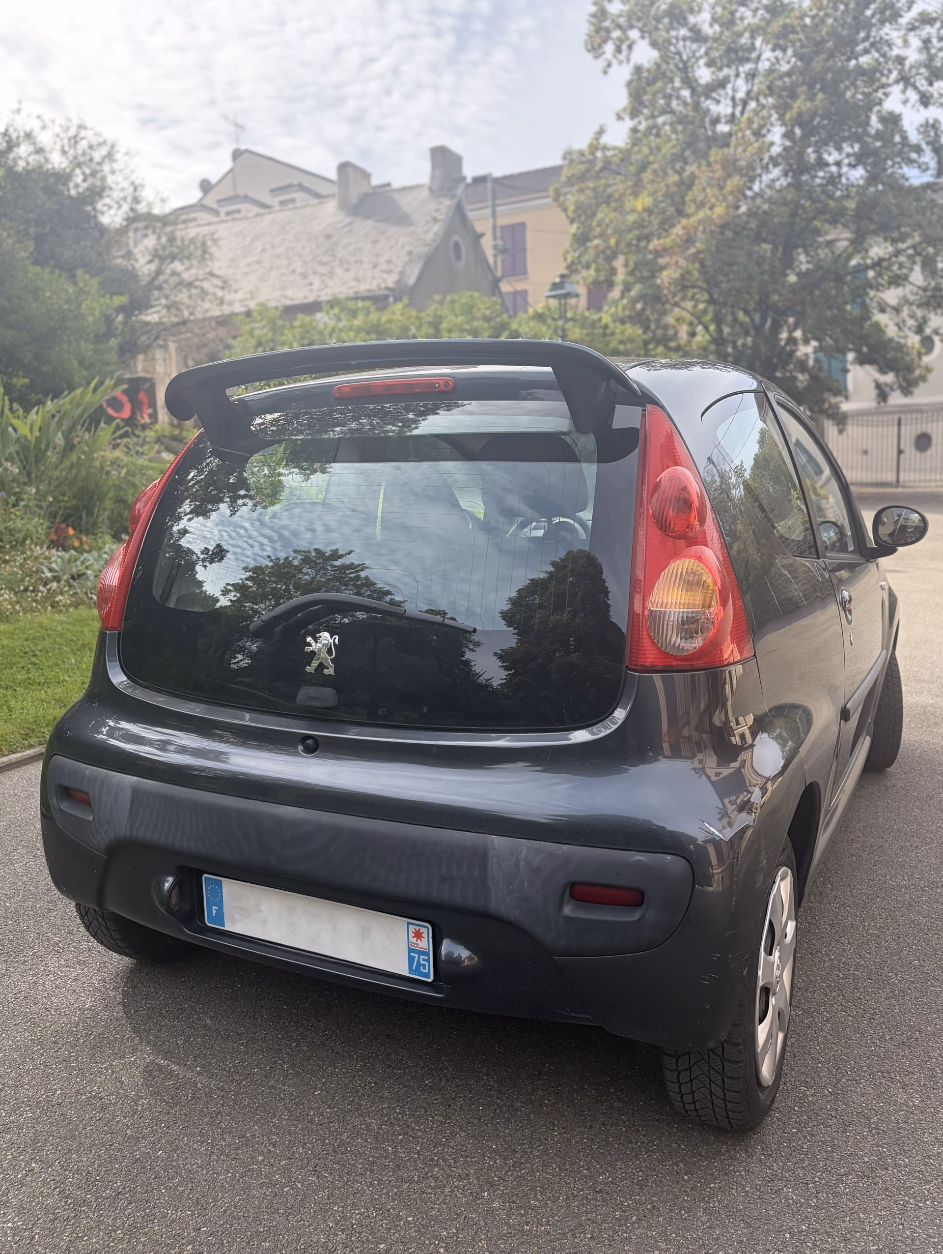 Peugeot Filou 1.0i 2009 gris - 3/10