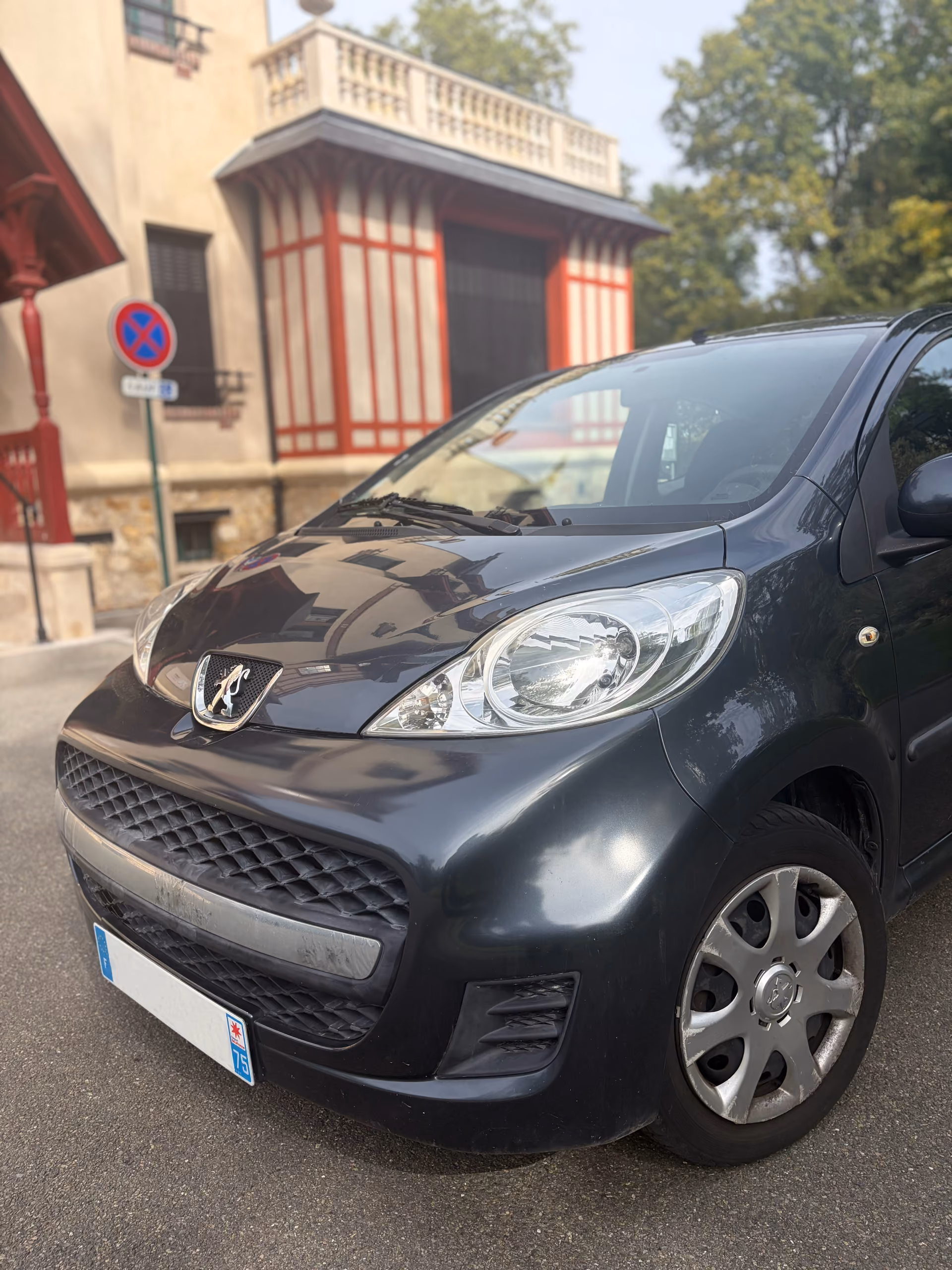 Peugeot Filou 1.0i 2009 gris - 2/10